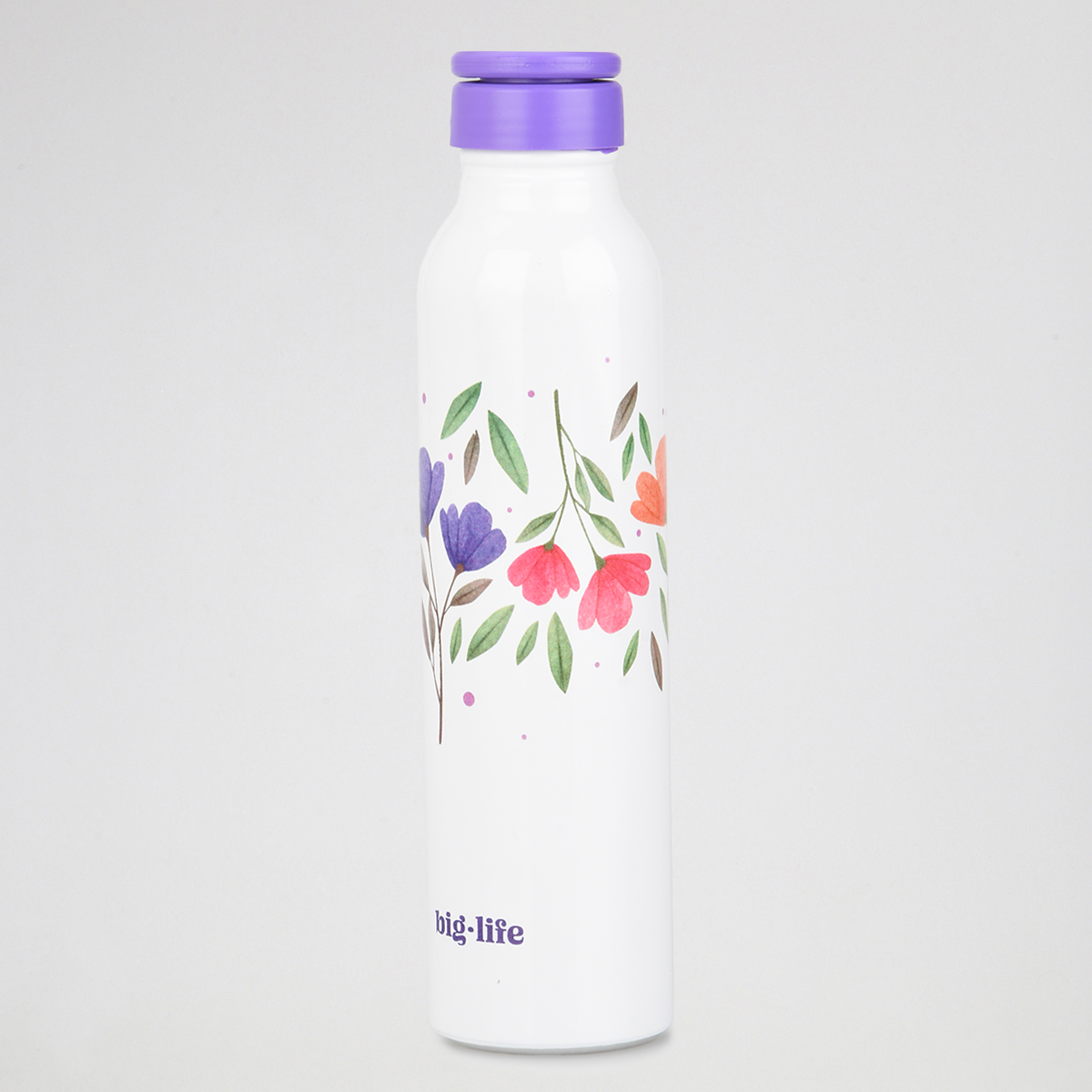 Botella Big Life Aluminio,  image number null