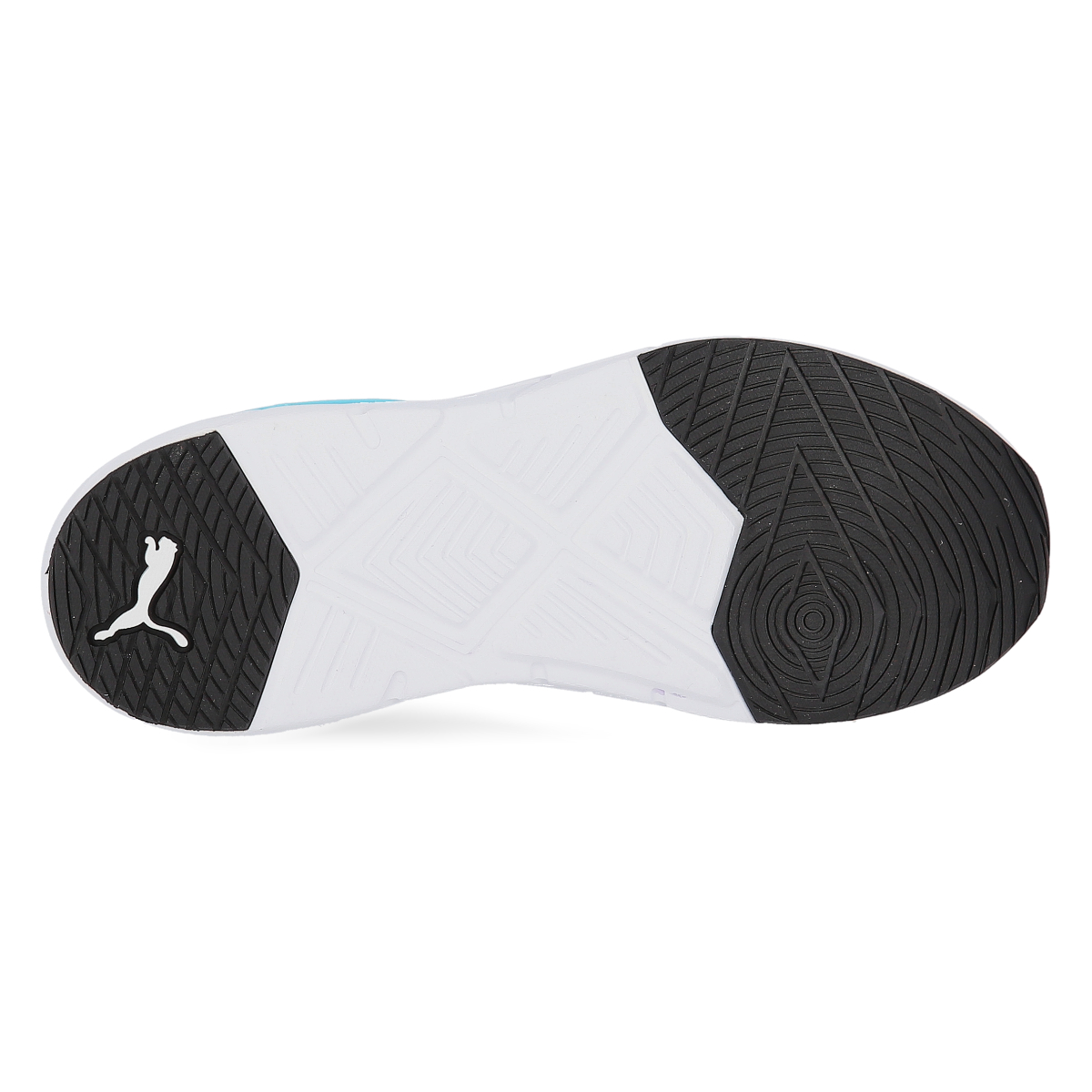 Puma lazo ancho shop