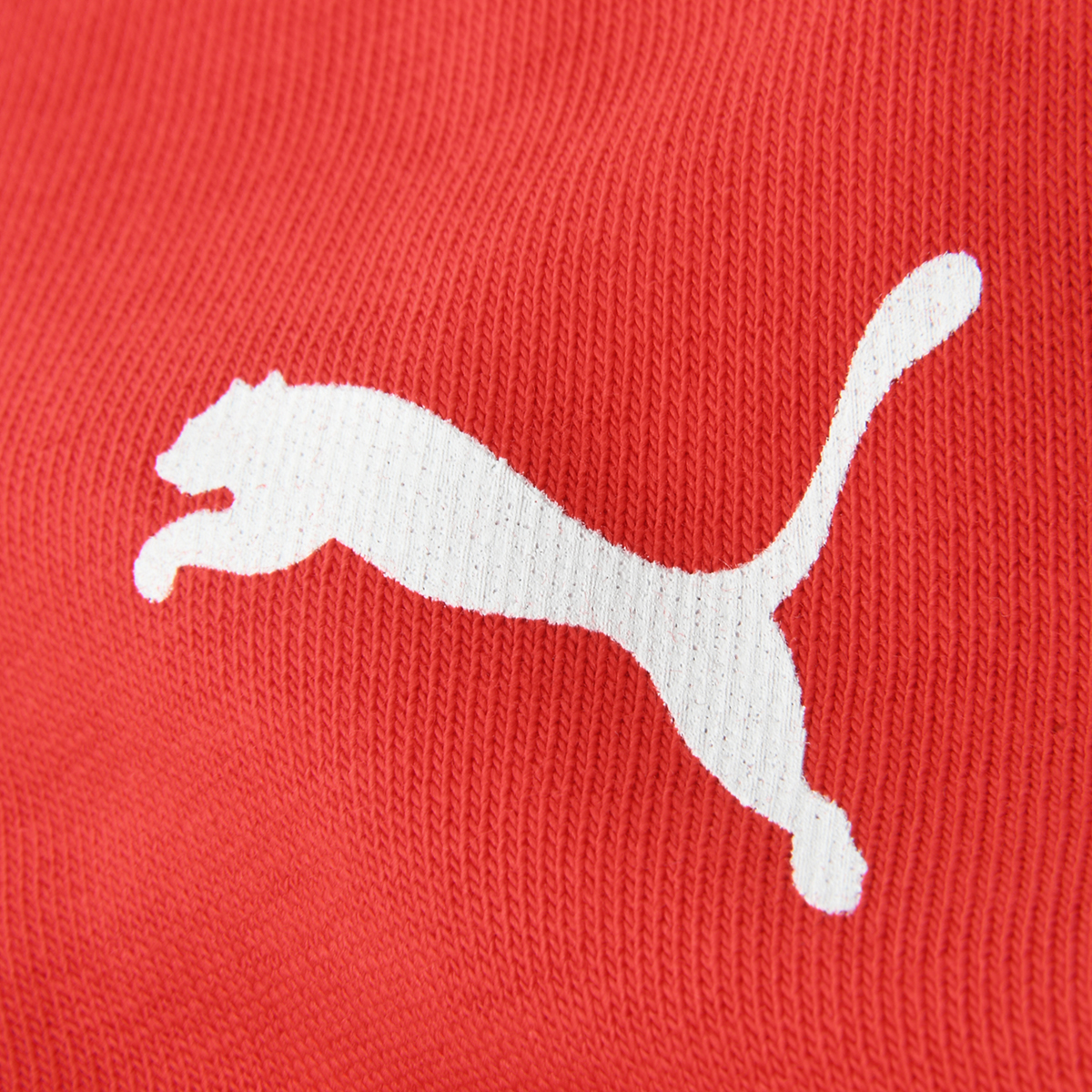 Buzo Puma F1 Essentials Logo Hombre,  image number null