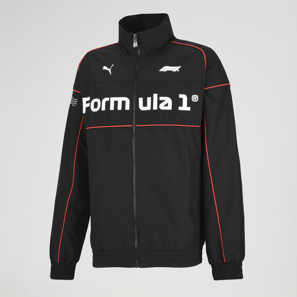 Campera Puma F1 SDS 2.0 Hombre,  image number null