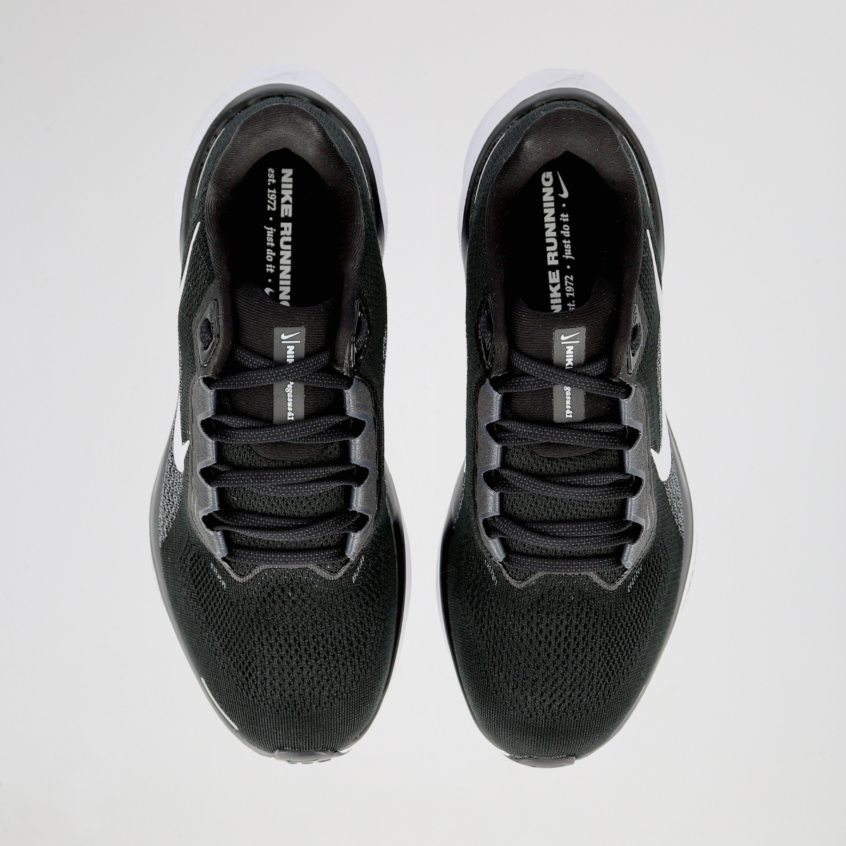 Zapatillas Running Nike Pegasus 41 Mujer,  image number null