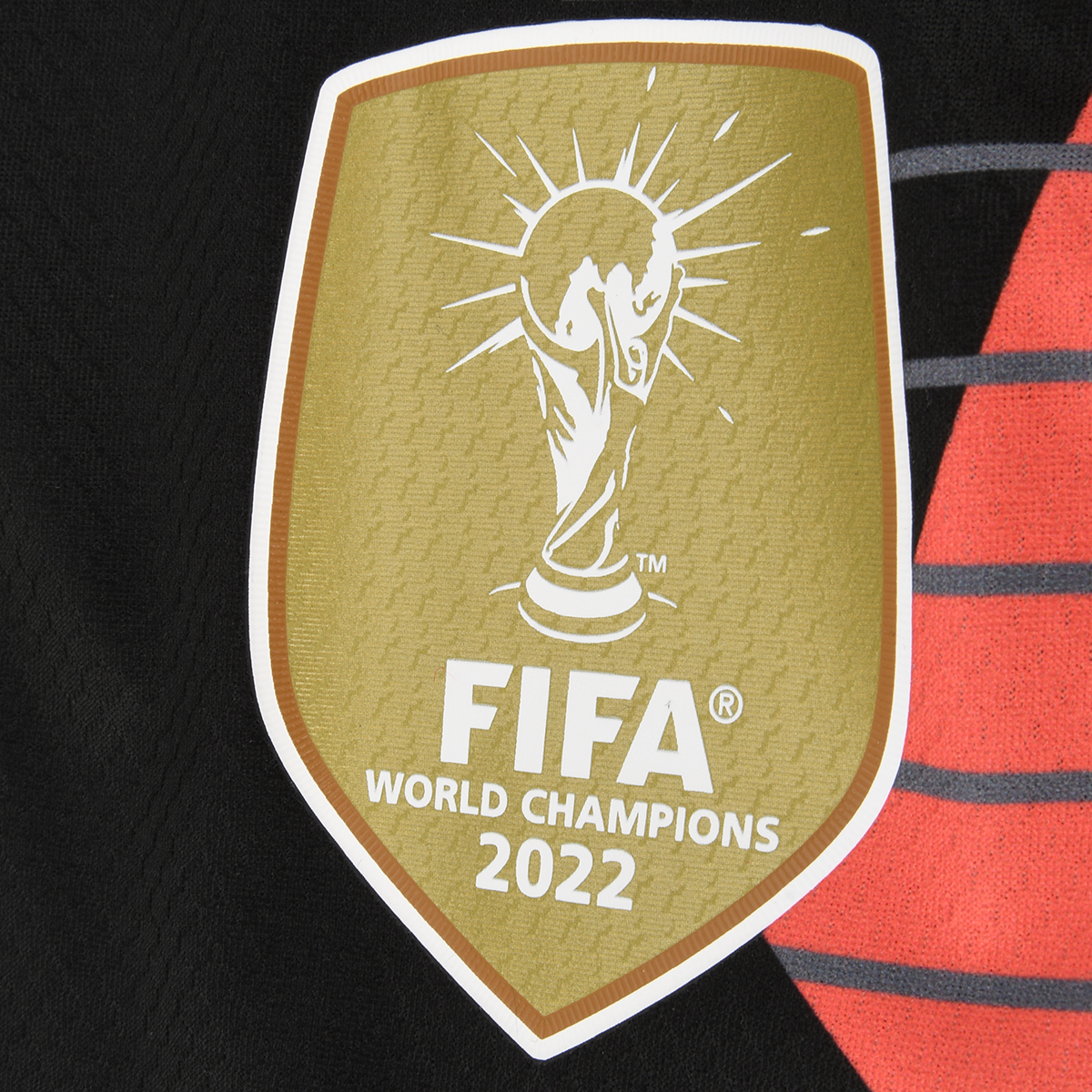 Camiseta adidas Selección Argentina Arquero 2024 Armani 1,  image number null