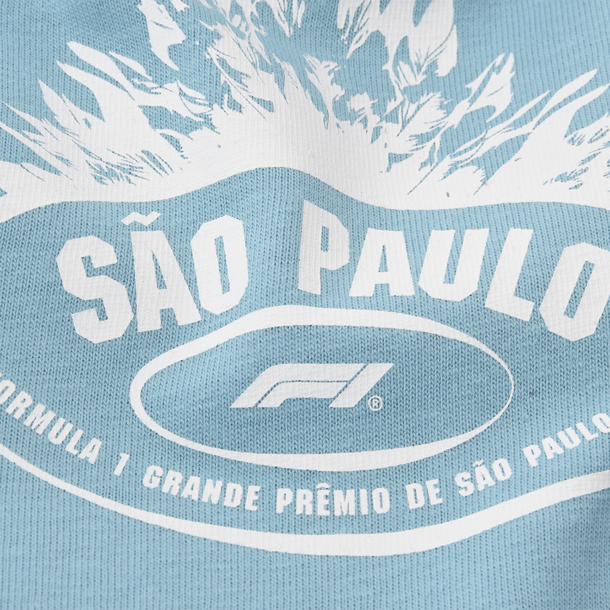 Remera Puma F1 Brazil Hombre,  image number null