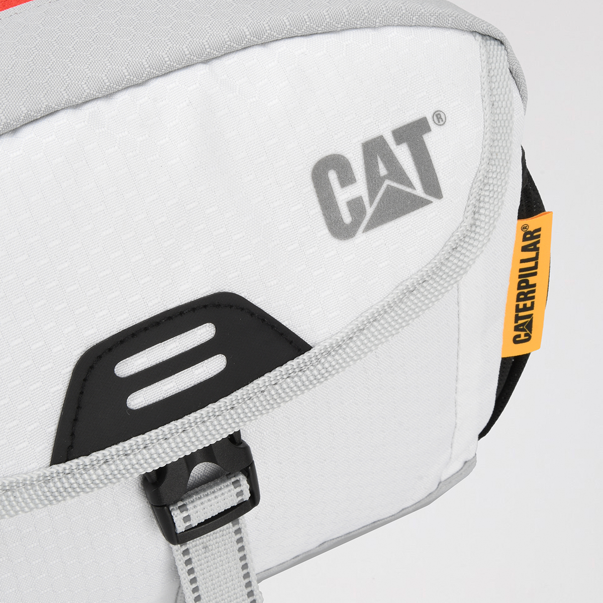 Ri&ntilde;onera Cat Fuji,  image number null