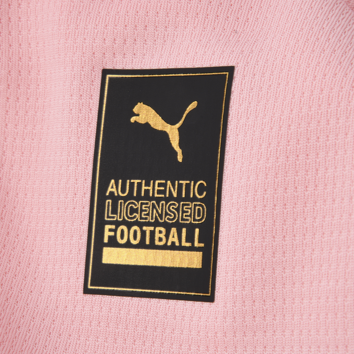 Camiseta Palermo FC Puma Titular 25/26 Hombre,  image number null