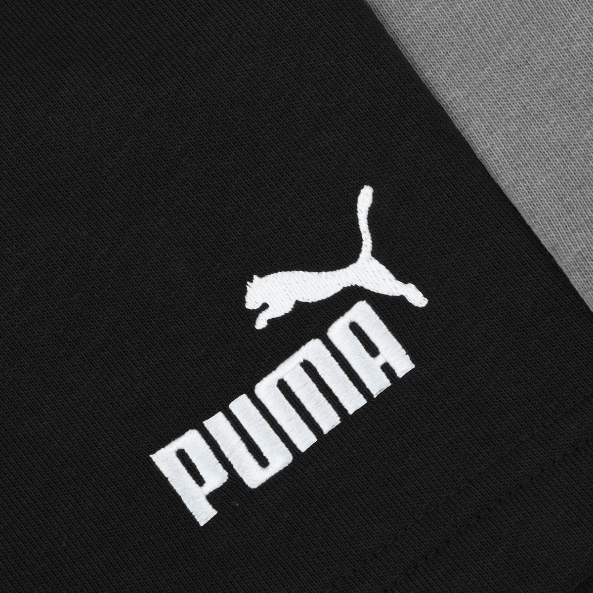 Short Puma Essentials Bloque Hombre,  image number null