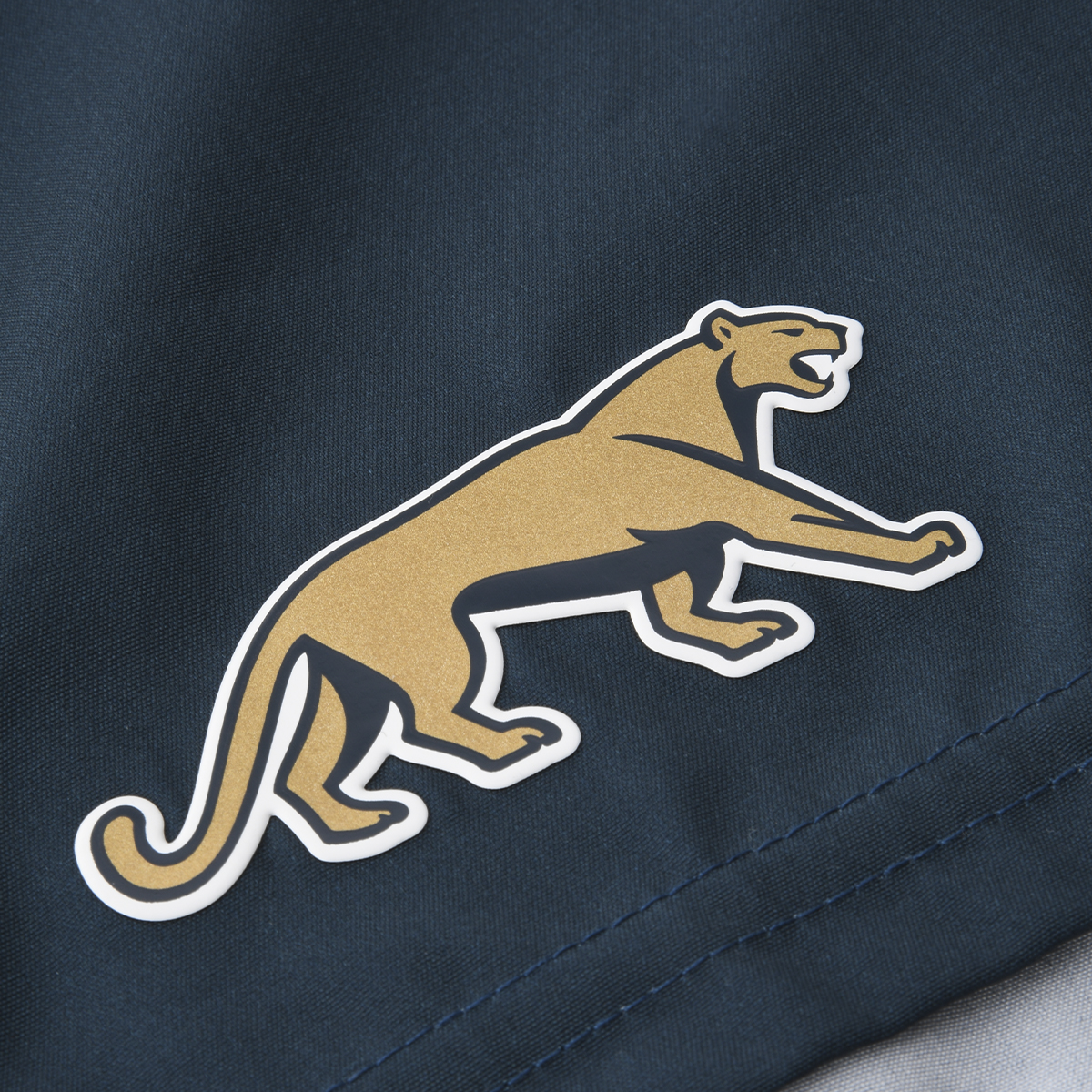 Short Le Coq Sportif Puma Suplente 2026 Hombre,  image number null