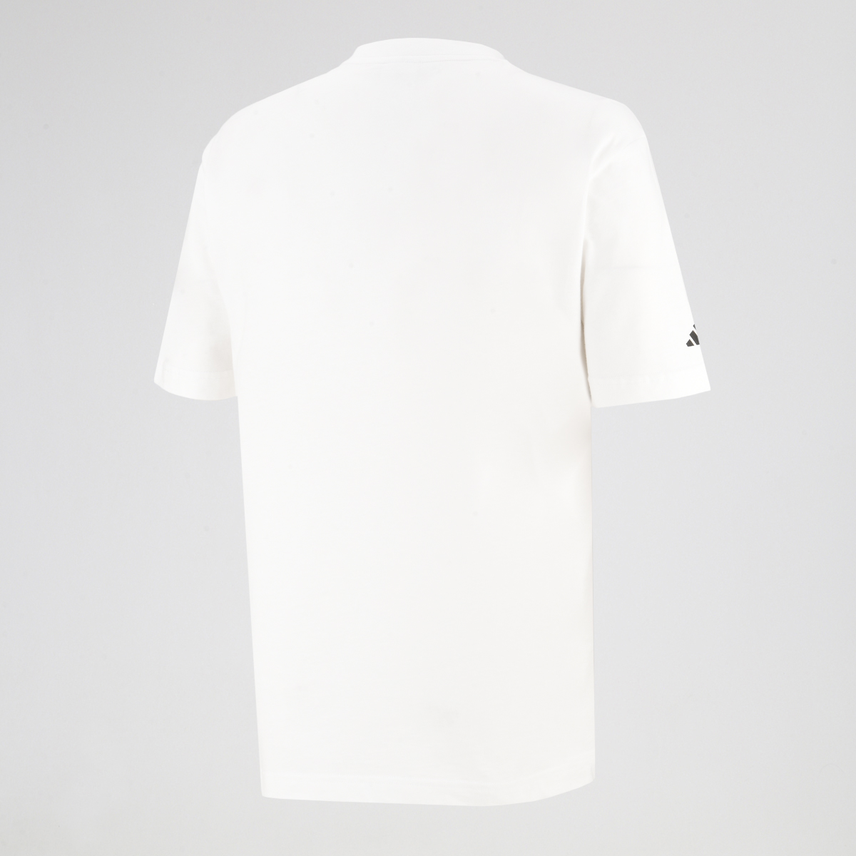 Remera adidas River Plate Seasonal Graphic Hombre,  image number null