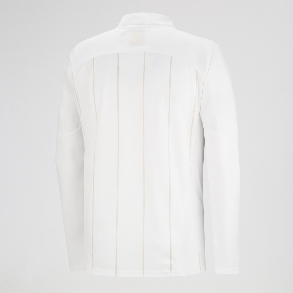 Buzo Milan Puma Pre Partido 2025 de Hombre,  image number null