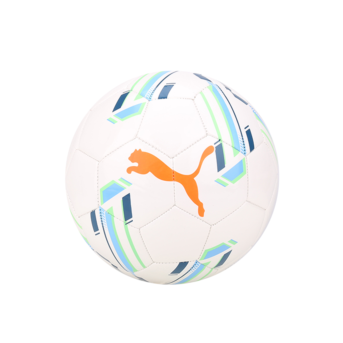 Pelota puma deals evospeed