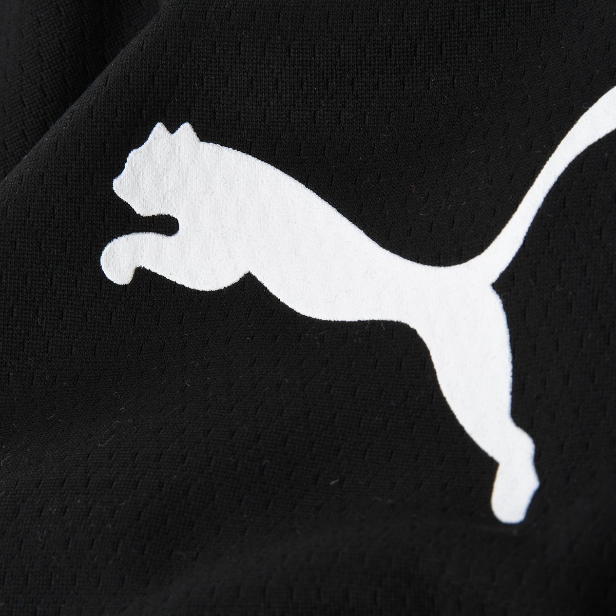 Remera Puma Graphics Vertical Logo Hombre,  image number null