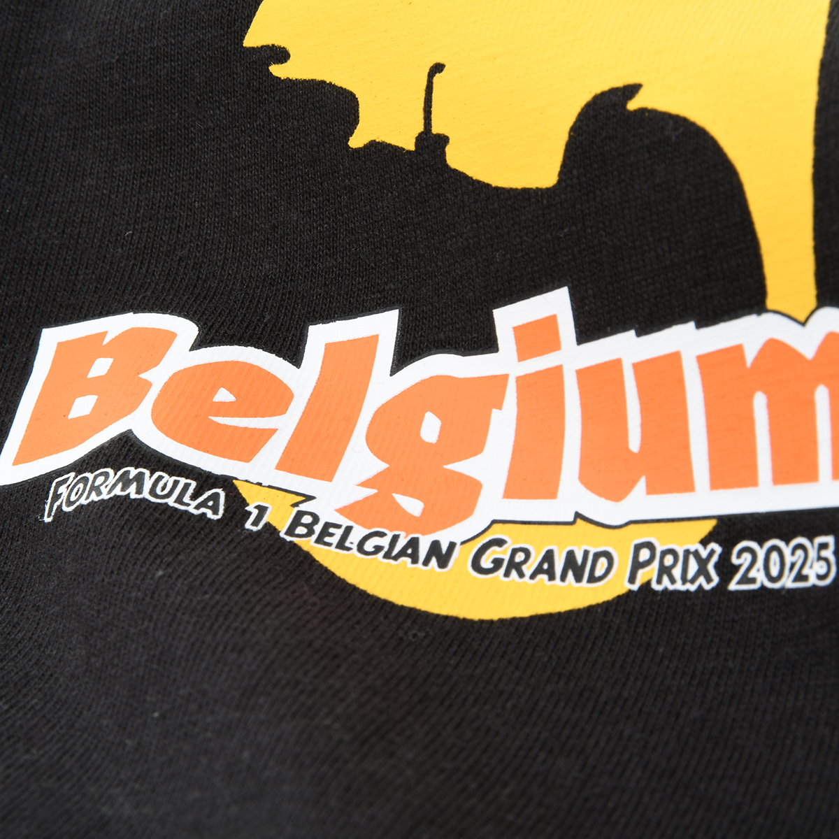 Remera Puma F1 Belgium Hombre,  image number null