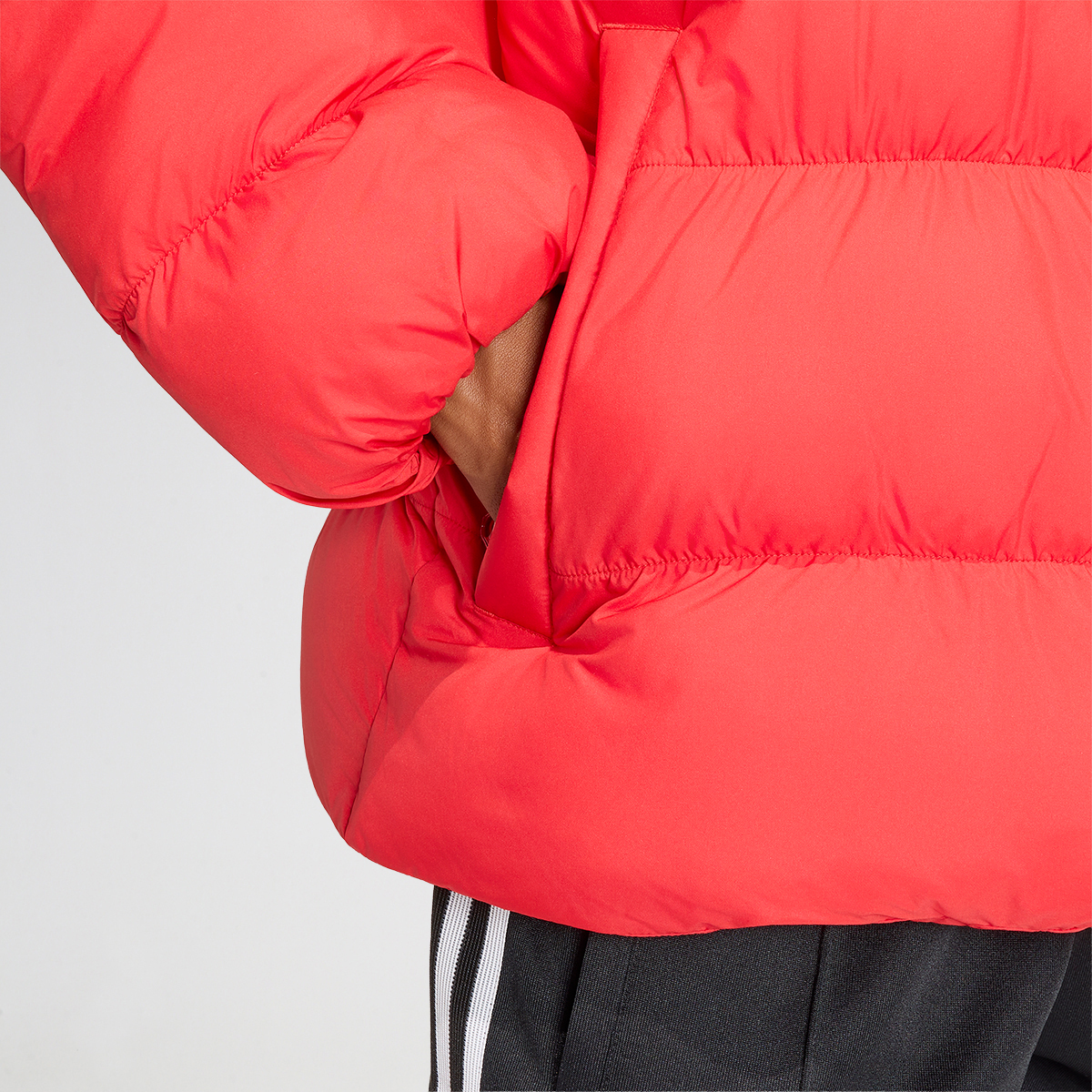 Campera River Plate  adidas 2026 Hombre,  image number null