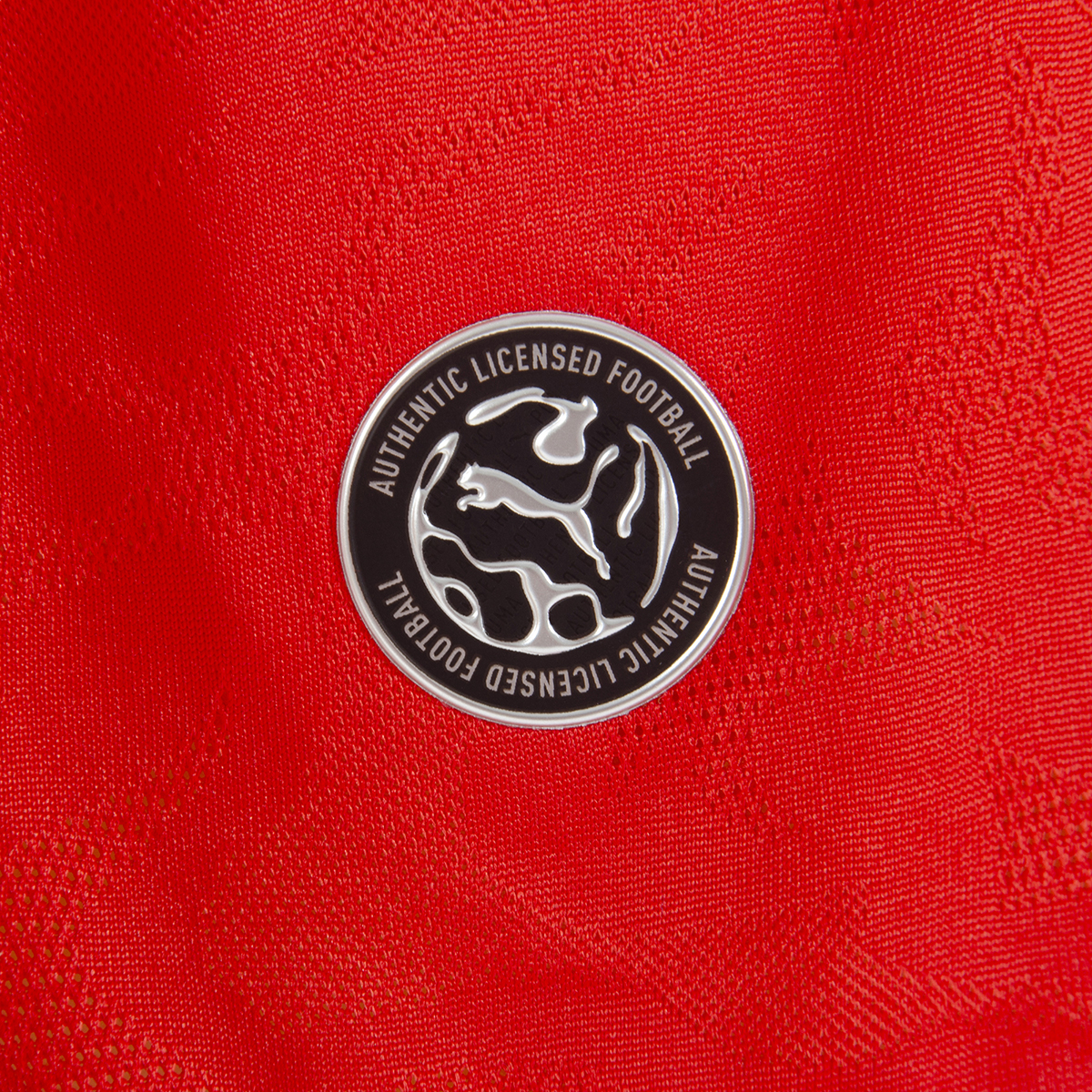 Camiseta Independiente Puma Titular 26 27 Hombre,  image number null