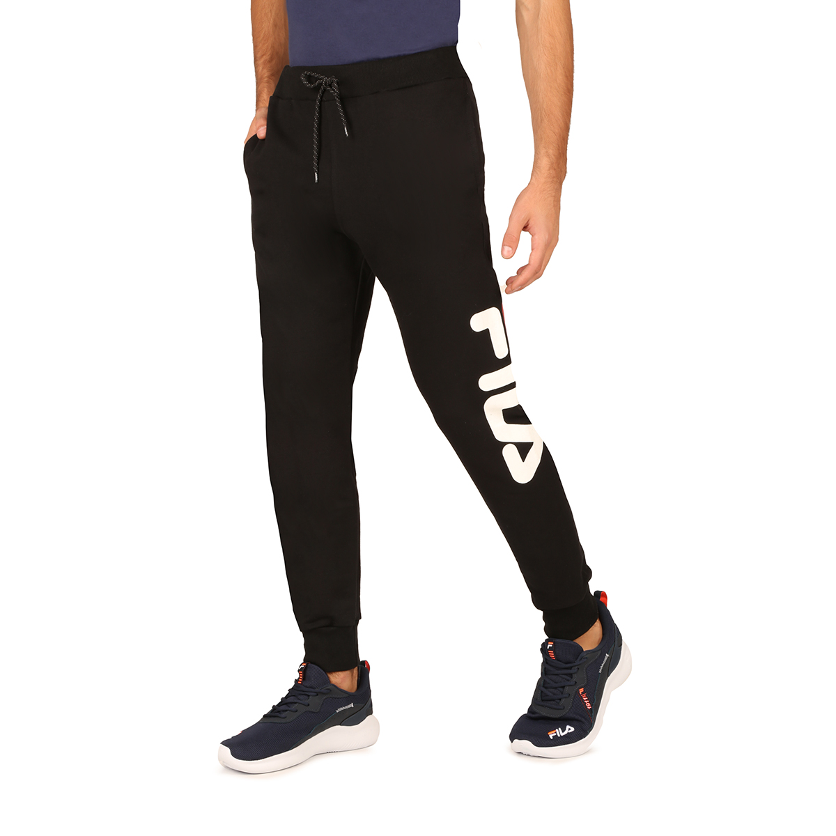 Fila dna online