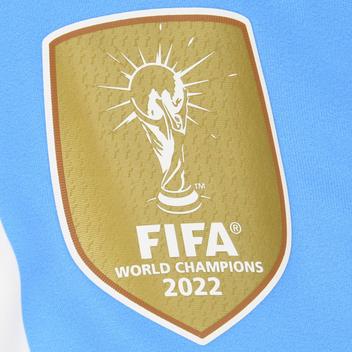 Camiseta adidas Selección Argentina Local 2024 Hombre,  image number null