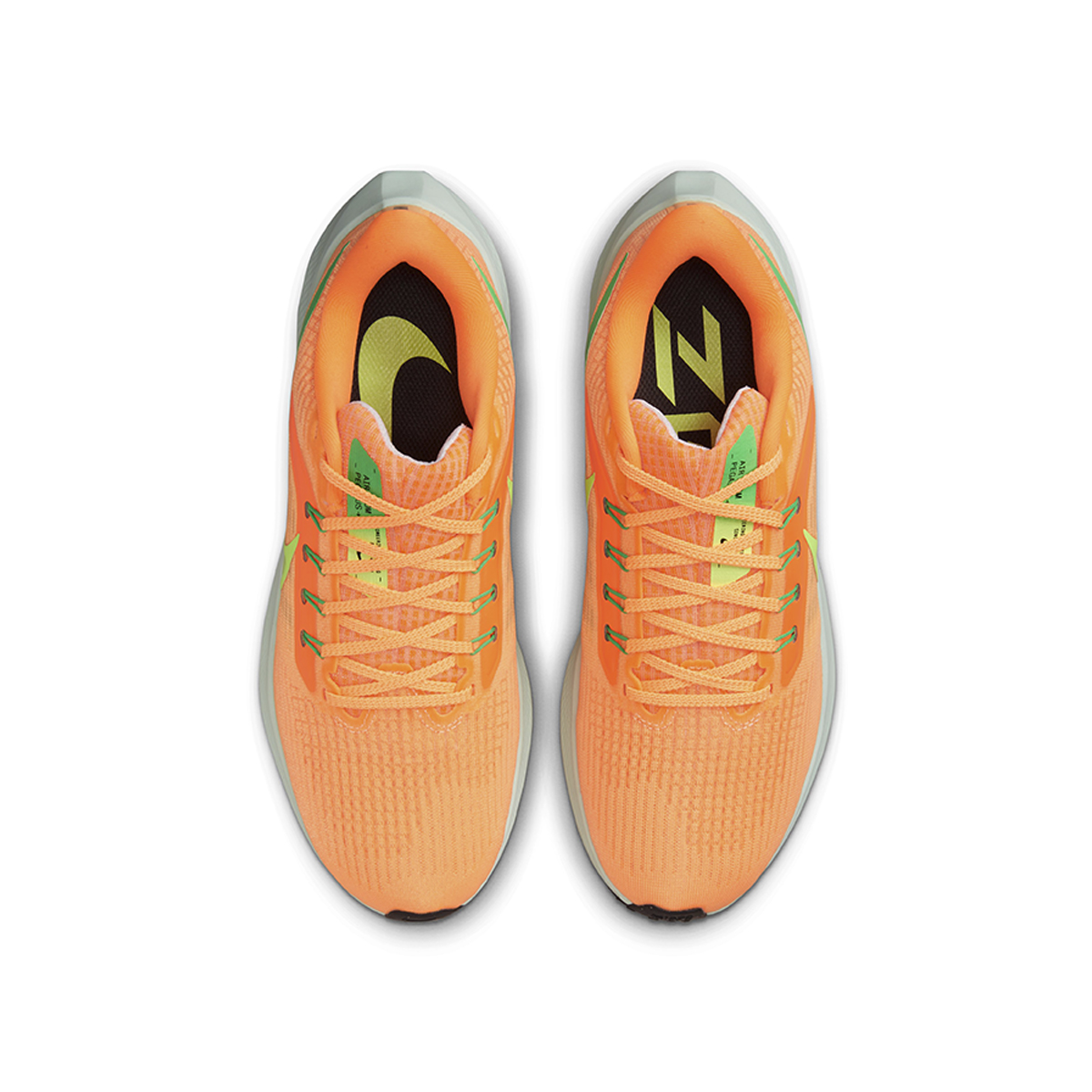 Running pegasus sale