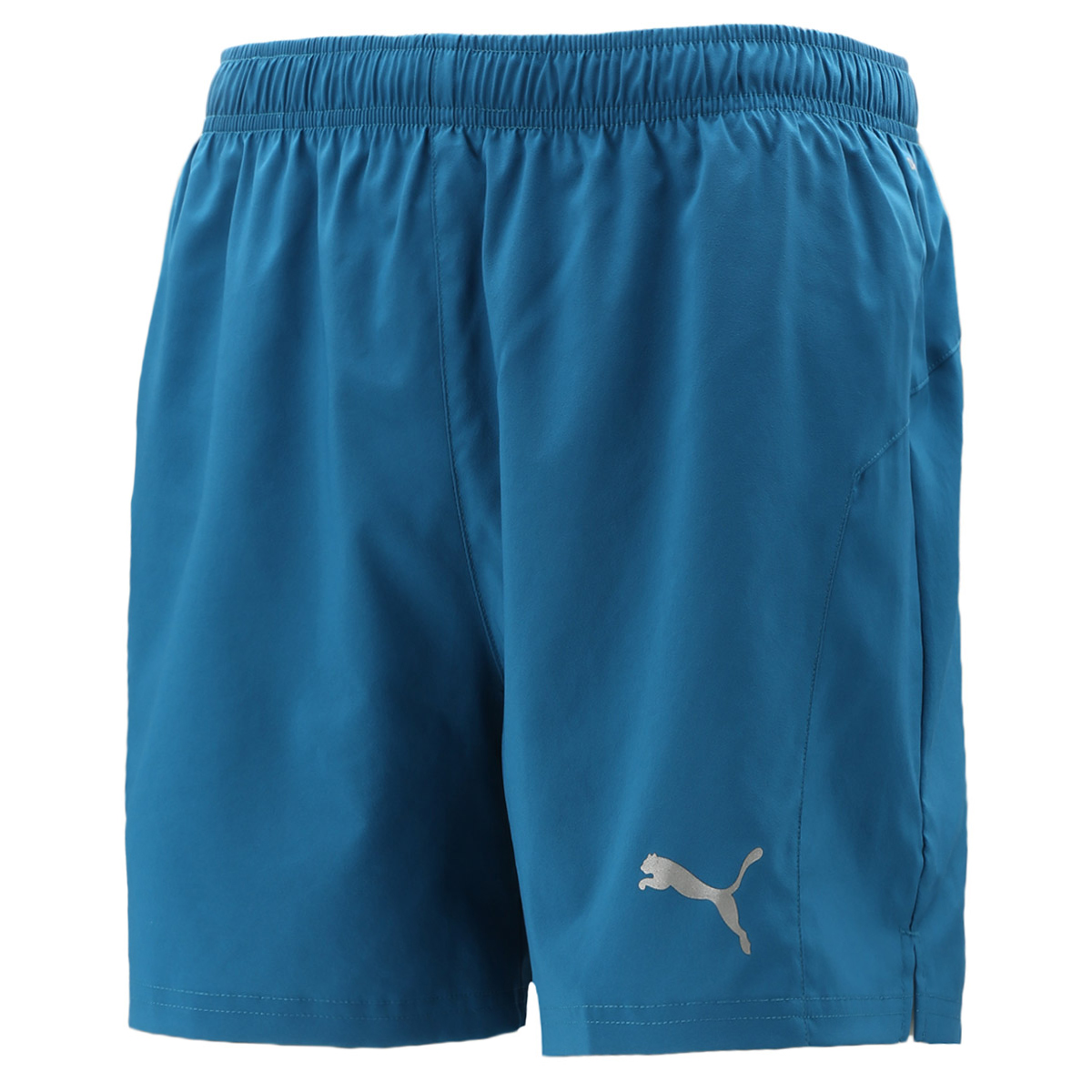Short Puma Ignite Session 5