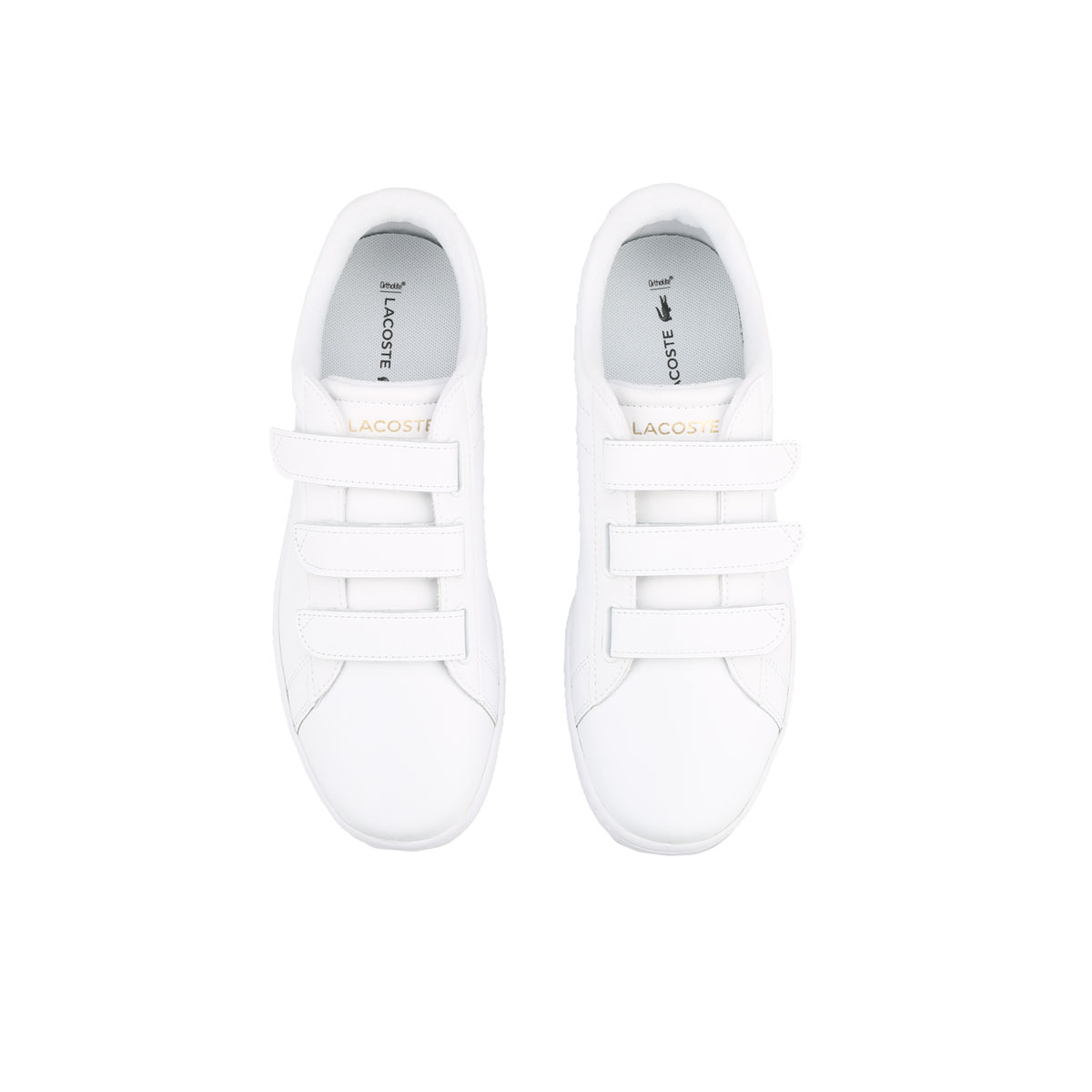 Carnaby evo on sale strap lacoste