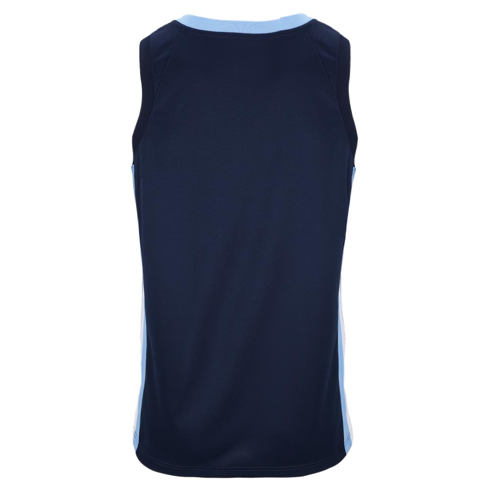 Camiseta Jordan Seleccion Argentina Limited 2019,  image number null